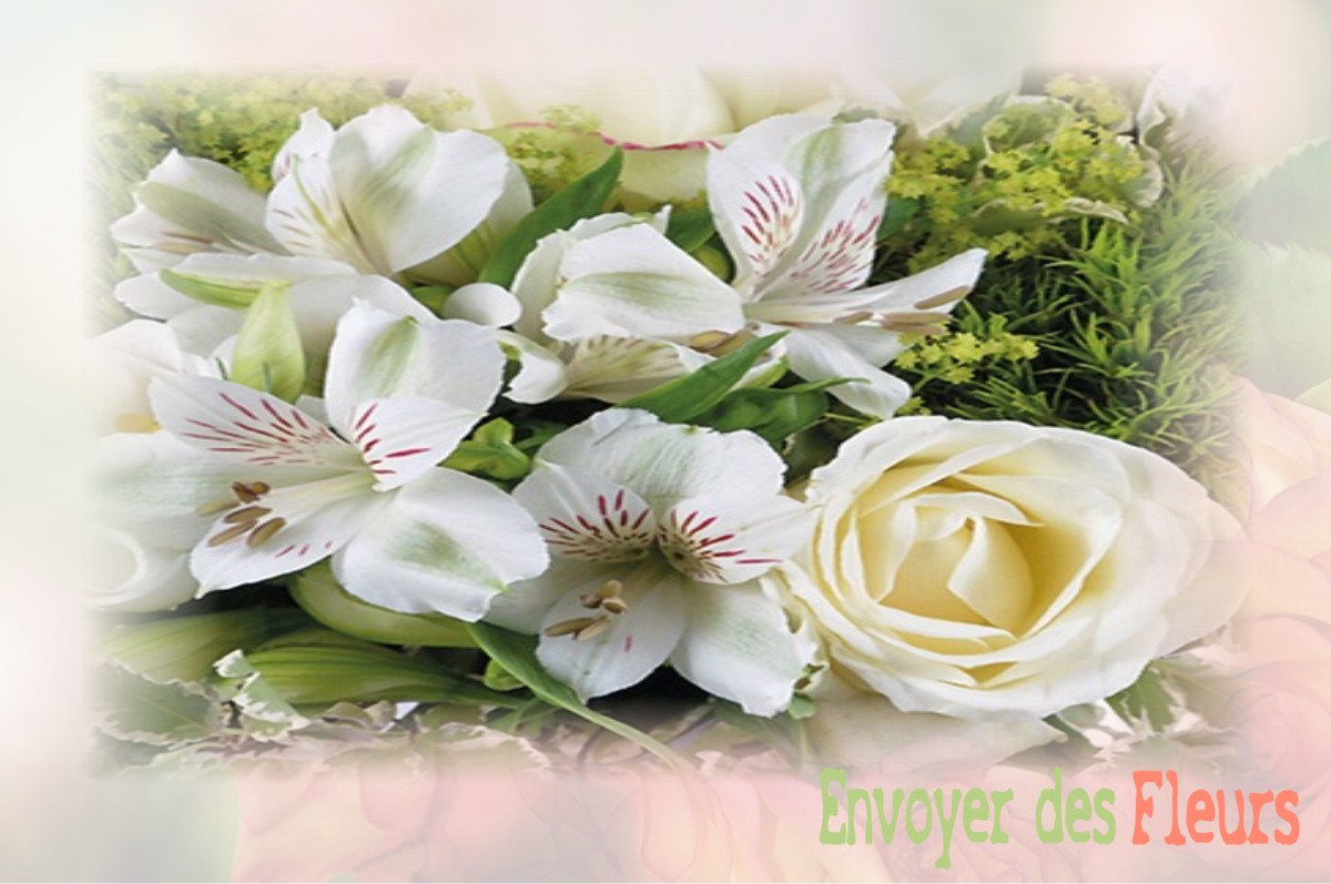 envoyer des fleurs à à DAMBACH-LA-VILLE